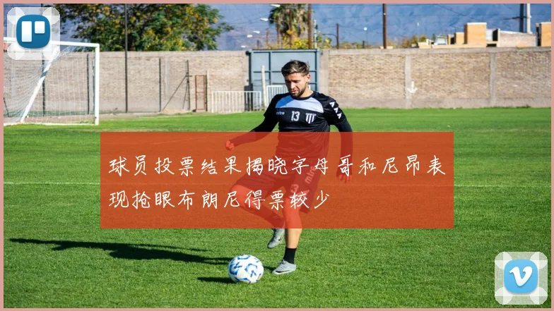 球员投票结果揭晓字母哥和尼昂表现抢眼布朗尼得票较少